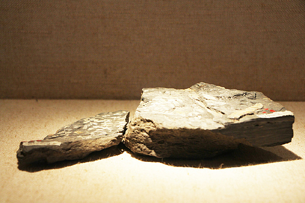 �㶫Ӣ����ʯ̿������������ާ