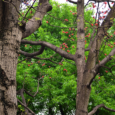 ����ľ�޻����ܷ羰ͼƬ