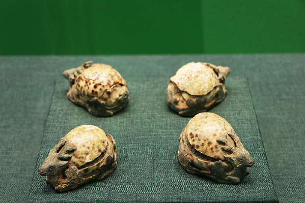 ����¹��ϯ��