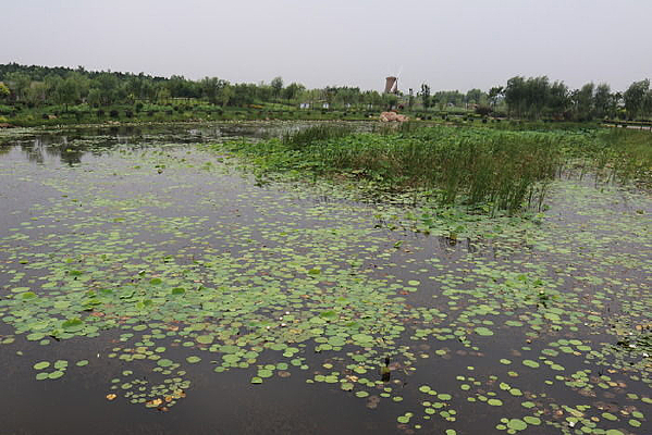 ����˯��