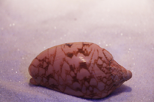 ������������