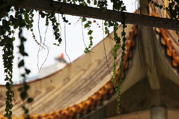 ��������ɽ������