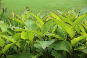 ���˽�����