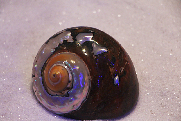 �Ϸ�����