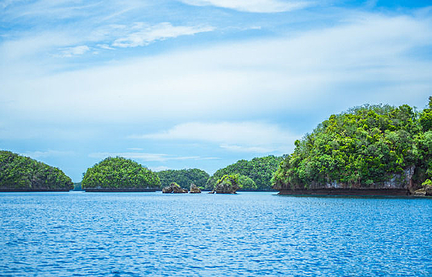 ������ɫ�ĺ���