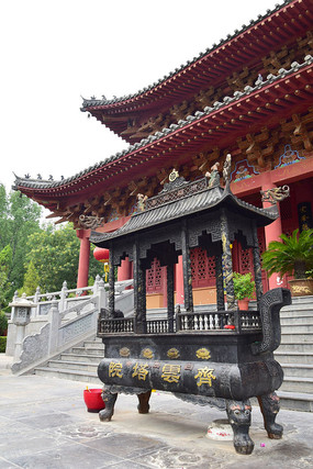 ��Ժ�Ž���-������Ӱ