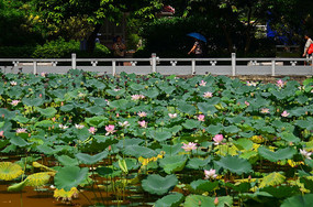 �ĺ�����羰ͼƬ