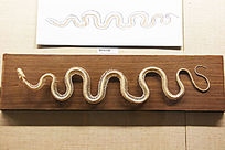 �����߹���