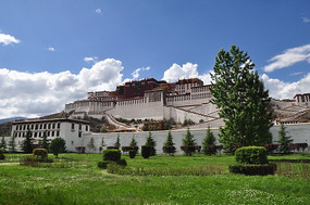 ԶĲ