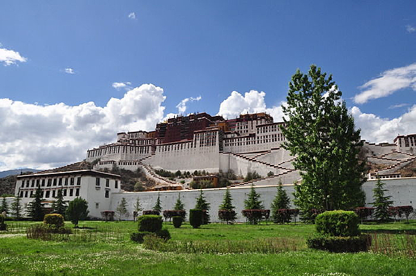 Զ���Ĳ�������