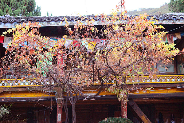 �����������ջ���������Ҷ