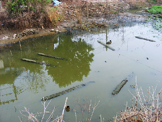 ��ʽ��Ϻ��