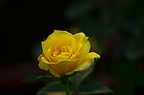 ��������õ����д����ͼƬ