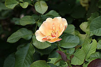 ����뿪���¼���