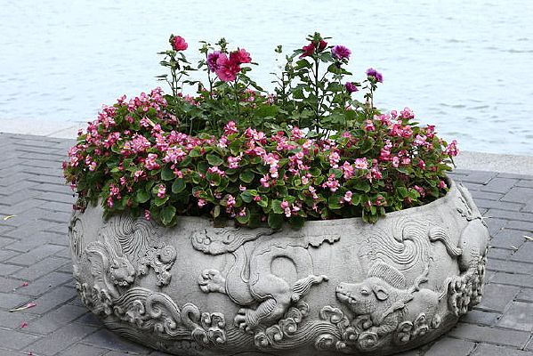 ���ʯ�ƻ�̳