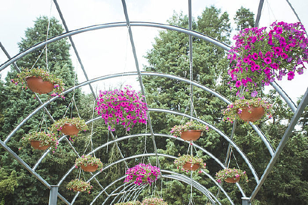 �����ϵĻ���