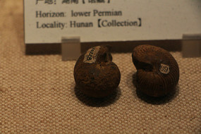 ������������¾�ʯ