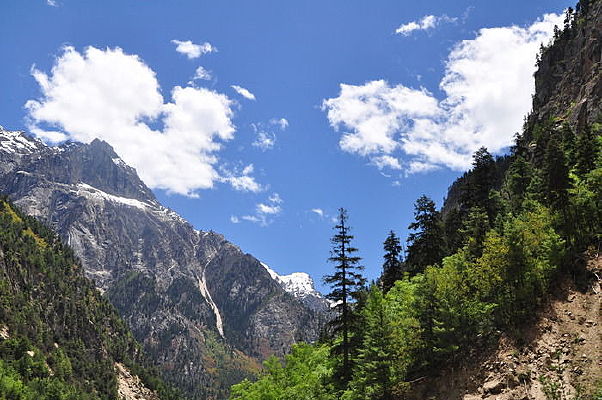 ������ѩɽ��ɽ��