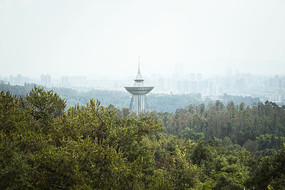 ï�ܵ�ɽ�ֺ��ź���