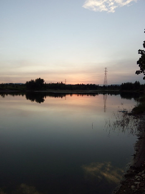 �����ӱ�