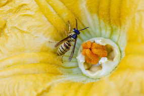 �۷��뻨��