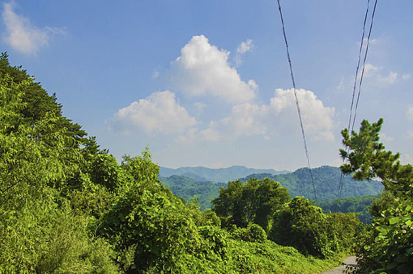 ǧɽľ����·��ɽ�����������