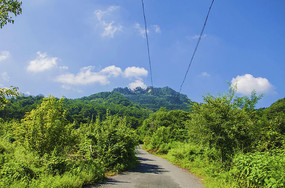 ǧɽľ������ľɽ�����������