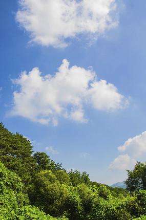 ǧɽľ������ľ�����