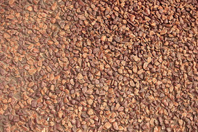 ɰ��ʯ�ӱ���