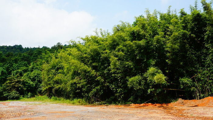 ɽ������