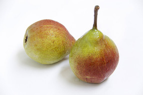 ��ζ�����