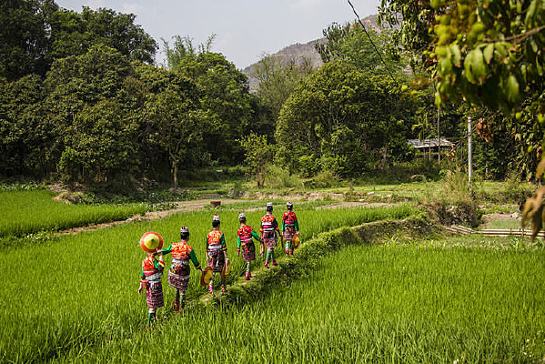 ��԰����