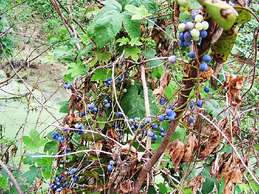 Ұ����ȫ��