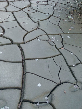 �����ϵ���Ҷ