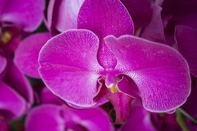 I���޵���ɫ����