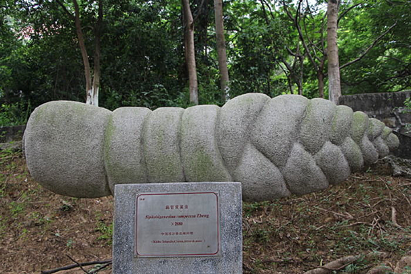 ���˫����