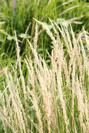 �ݴ��е���β��