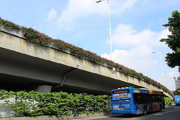 ���и߼���ͼƬ