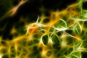 ���󻭻�ɫ�¼���