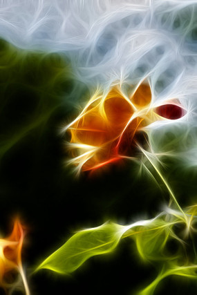 �����¼���