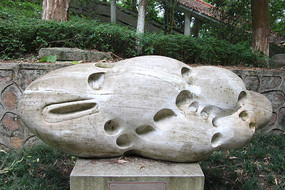 ��С��ѿ��