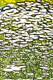 ��������滭ͤͤ�����ջ�