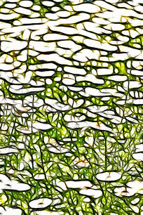 ��������ջ���