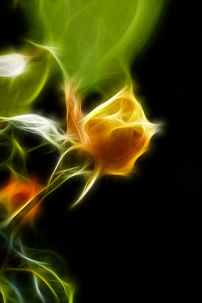 ��ɫ�¼���