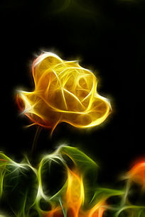 ��ɫ�¼����޿�