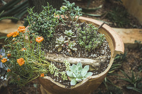 ������ļ������ֲ��