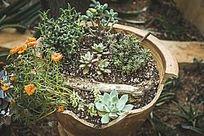 ������ļ������ֲ��