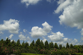 ��԰�����������