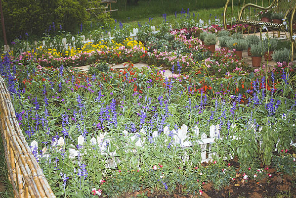 ��԰��ĸ�ɫ�ʻ�