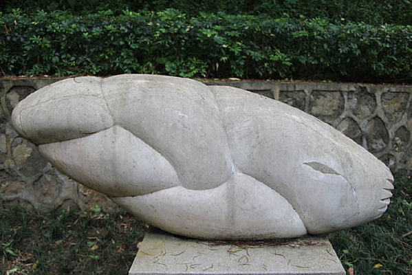 �����ٶ��γ�